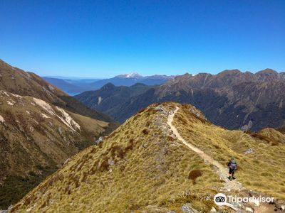 Kepler Track