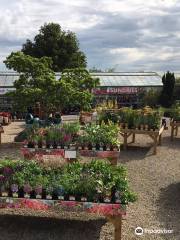 Paddock Farm Nursery & Water Gardens