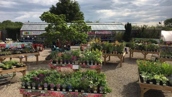 Paddock Farm Nursery & Water Gardens