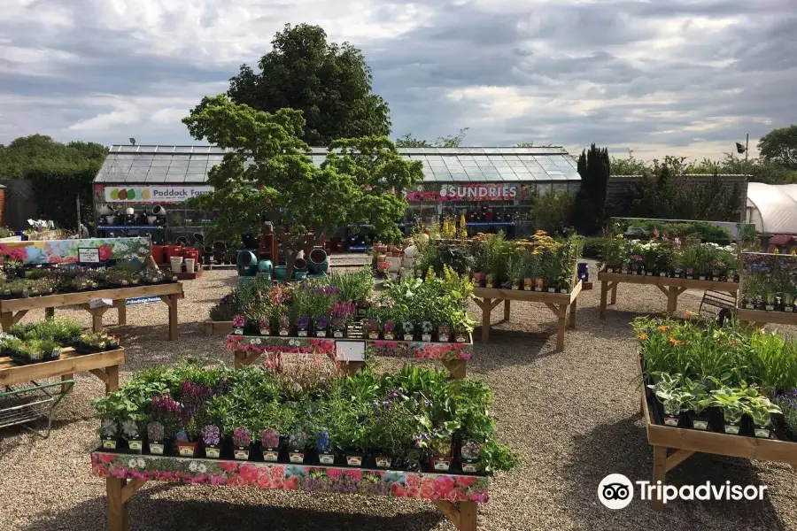 Paddock Farm Nursery & Water Gardens