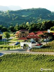 Miolo Winery