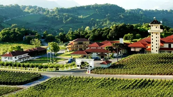 Miolo Winery