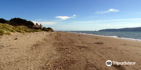 Paraparaumu Beach