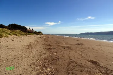 Paraparaumu Beach