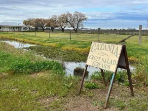 Catania Fruit Salad Farm