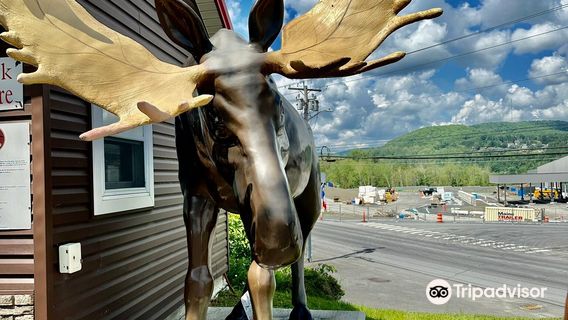 Madawaska Four Corners Park