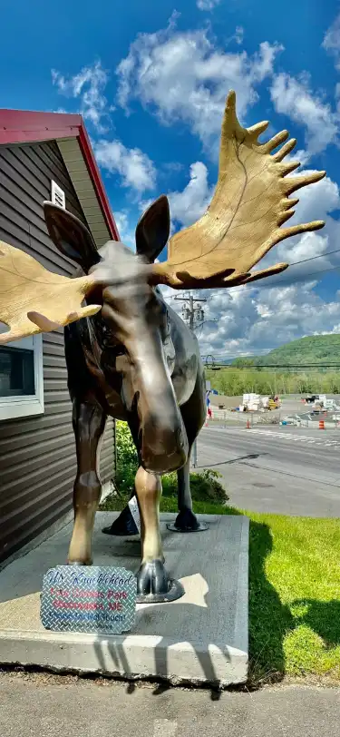 Hotels in Aroostook County