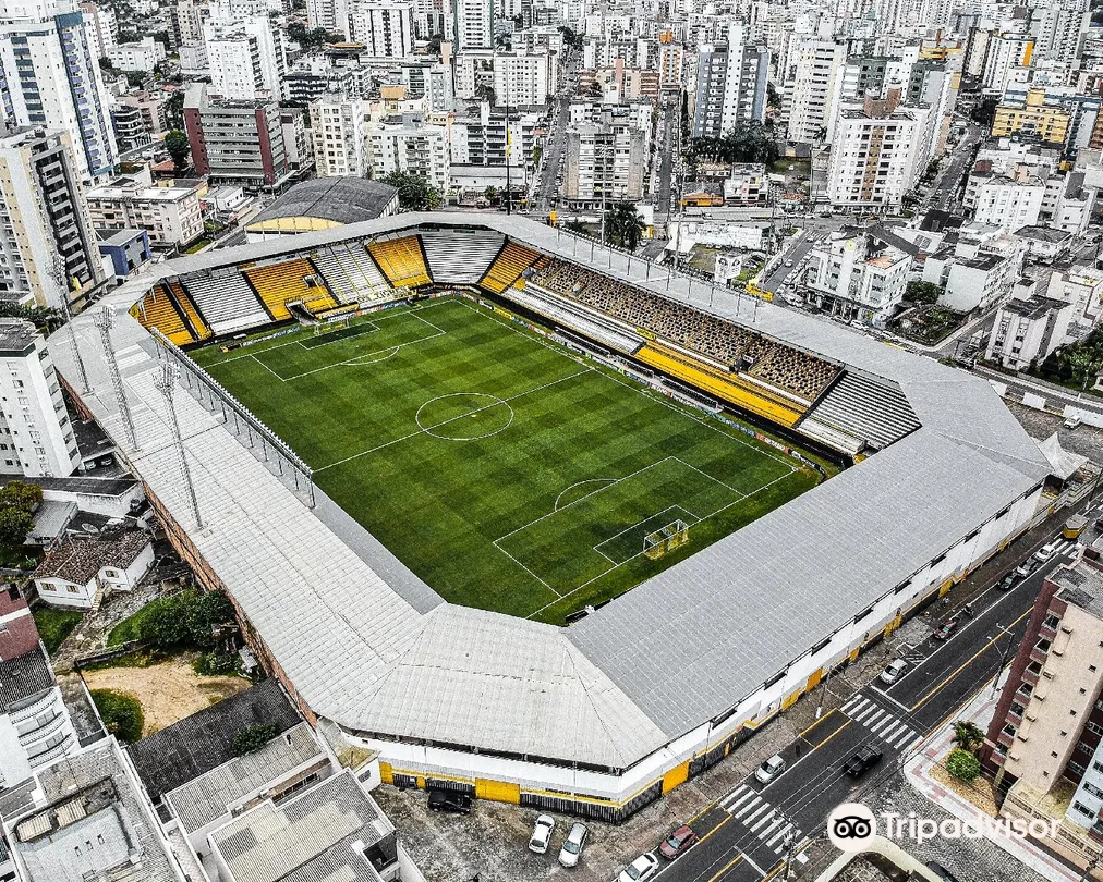 3_Stadium Heriberto Hülse (Majestic)