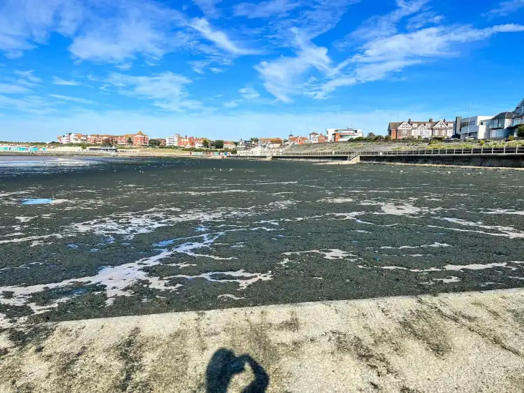 Hotels in Westgate-on-Sea