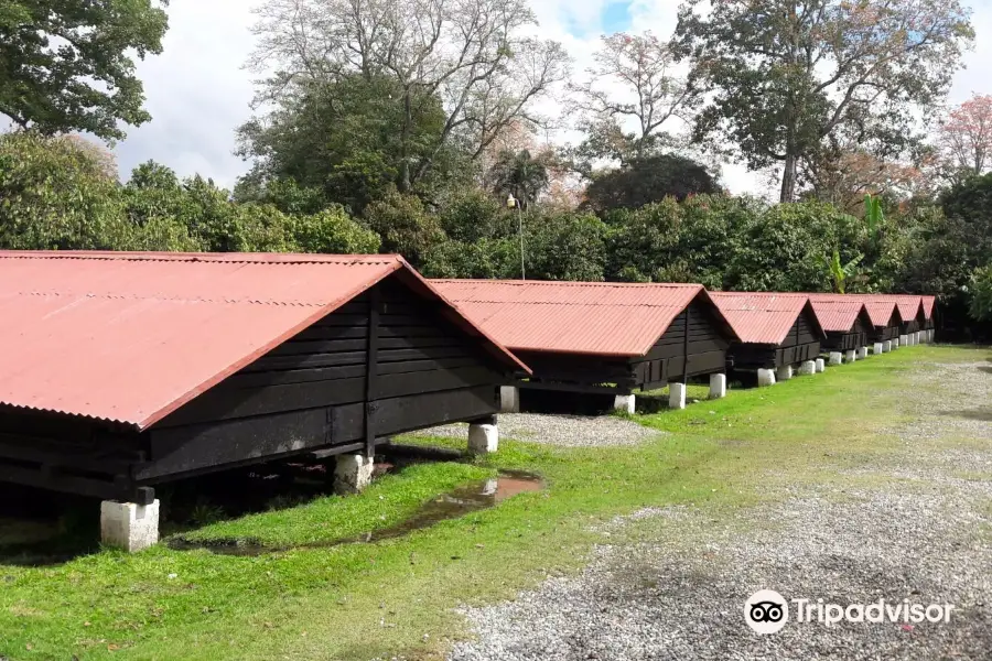 El Sendero del Cacao