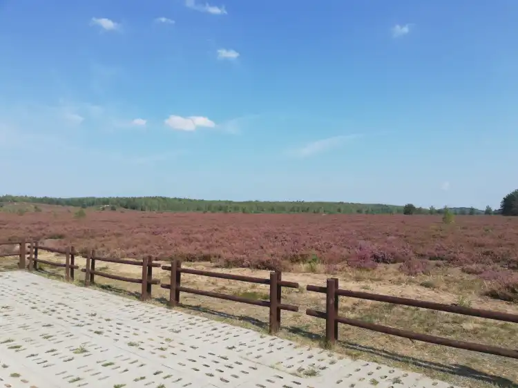 Hotels in Gmina Borne Sulinowo