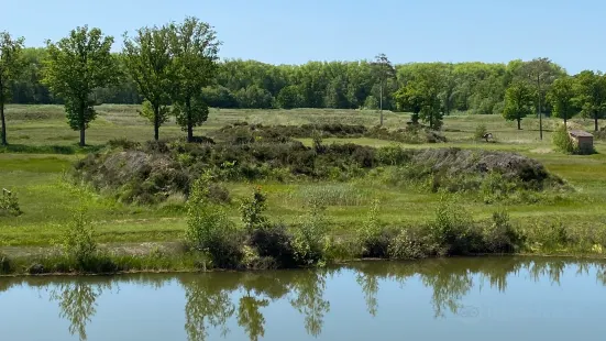 Vloethemveld