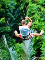 Canopy Adventures