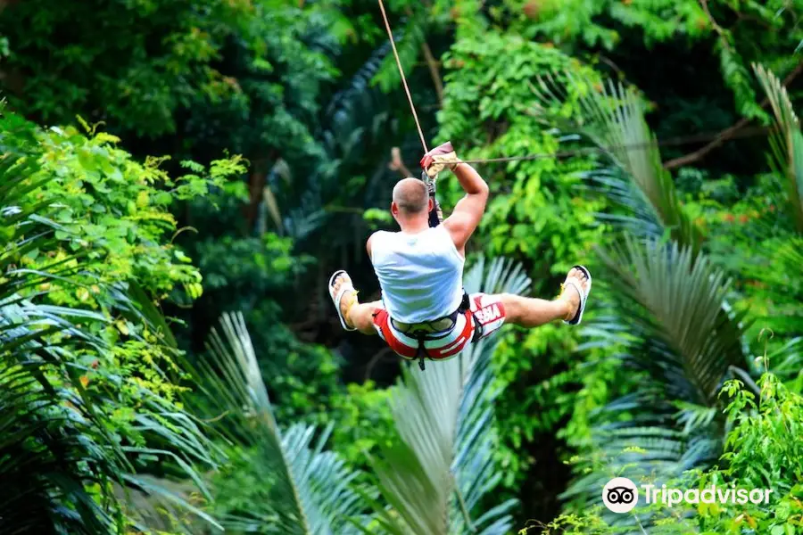 Canopy Adventures