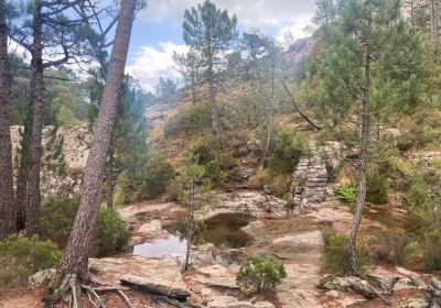 Cascade de Piscia