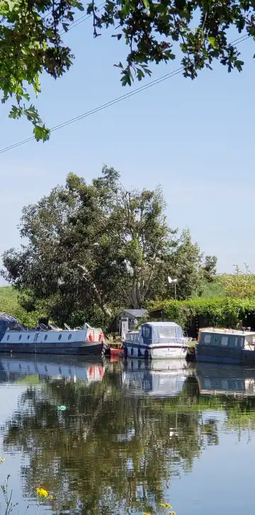 鄰近Lee谷地區公園的酒店