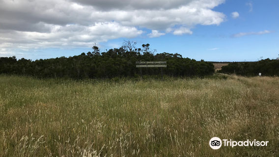 Jack Smith Lake State Game Reserve