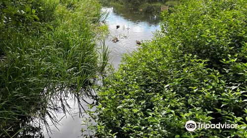 Burrs Country Park