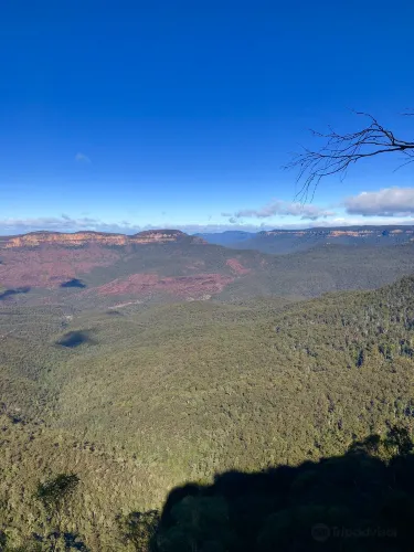 Gordon Falls Lookout