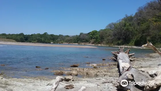 Playa Buena Vista