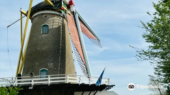 Korenmolen Oostvoorne