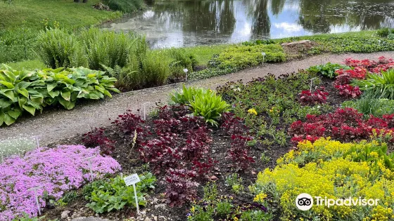 Szklarnie Ogrodu Botanicznego Uniwersytetu Marii Curie -Skłodowskiej w Lublinie