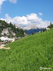 Alpaca Val Gardena