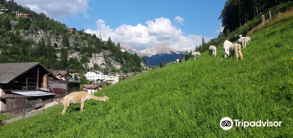 THE 15 BEST Things to Do in Santa Cristina Valgardena - 2023 (with