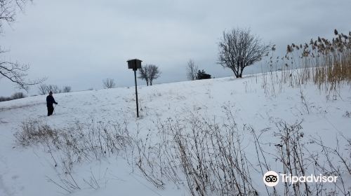 Tifft Nature Preserve