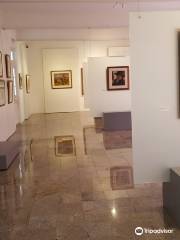 Museum Guido Viaro