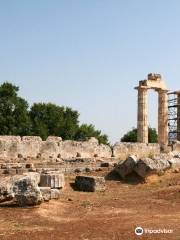 Stelios Spinoulas Sightseeing in Athens