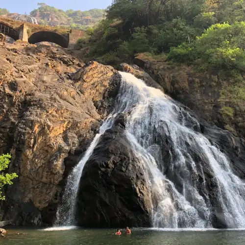 Popular Best Things to Do in South Goa