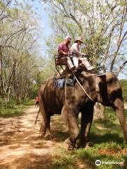 Wangpo Elephant Camp