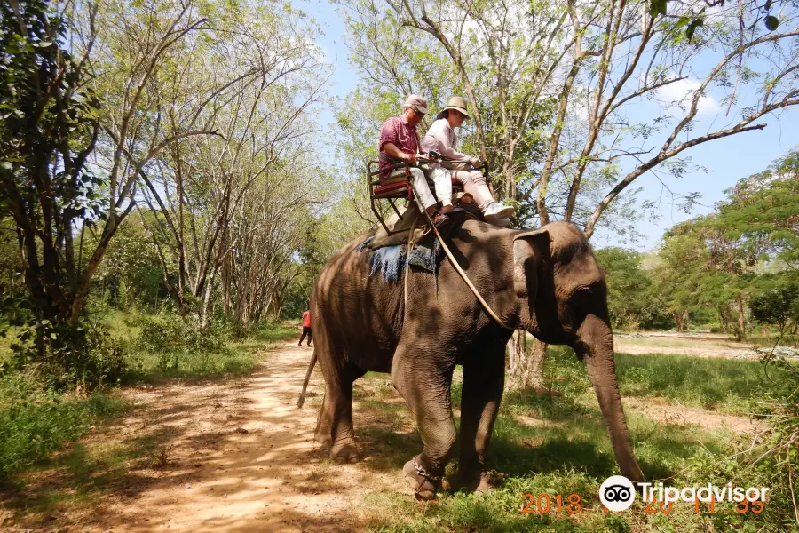 Elephant Camp Chang Wang Pho