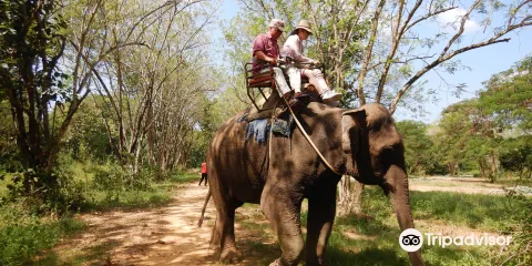 Wangpo Elephant Camp