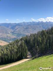 Bald Mountain Trail