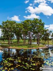 TYTO Wetlands