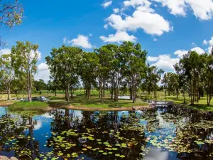 TYTO Wetlands