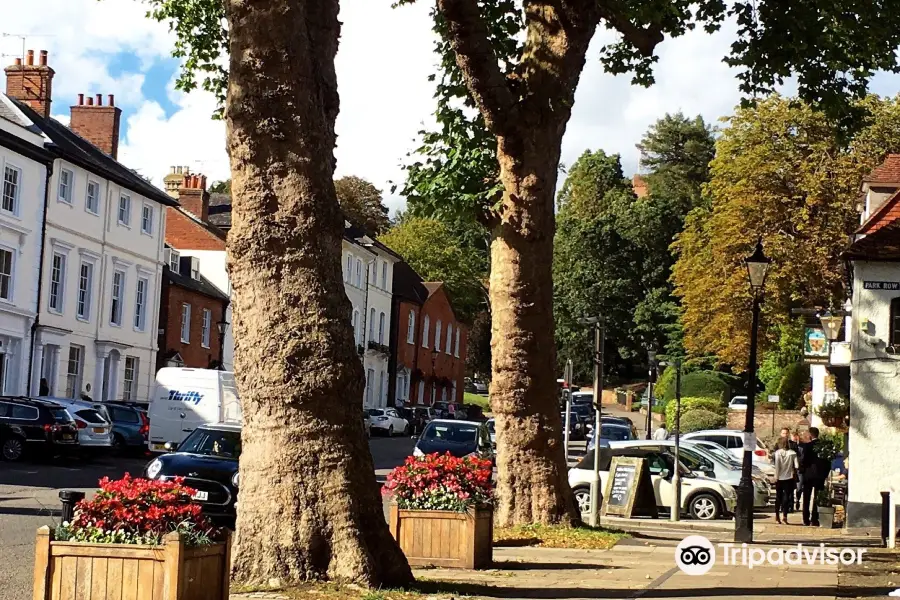 Farnham Town Walks