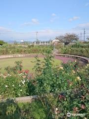 Onocho Rose Park