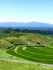 Ogi Terraced Rice Fields