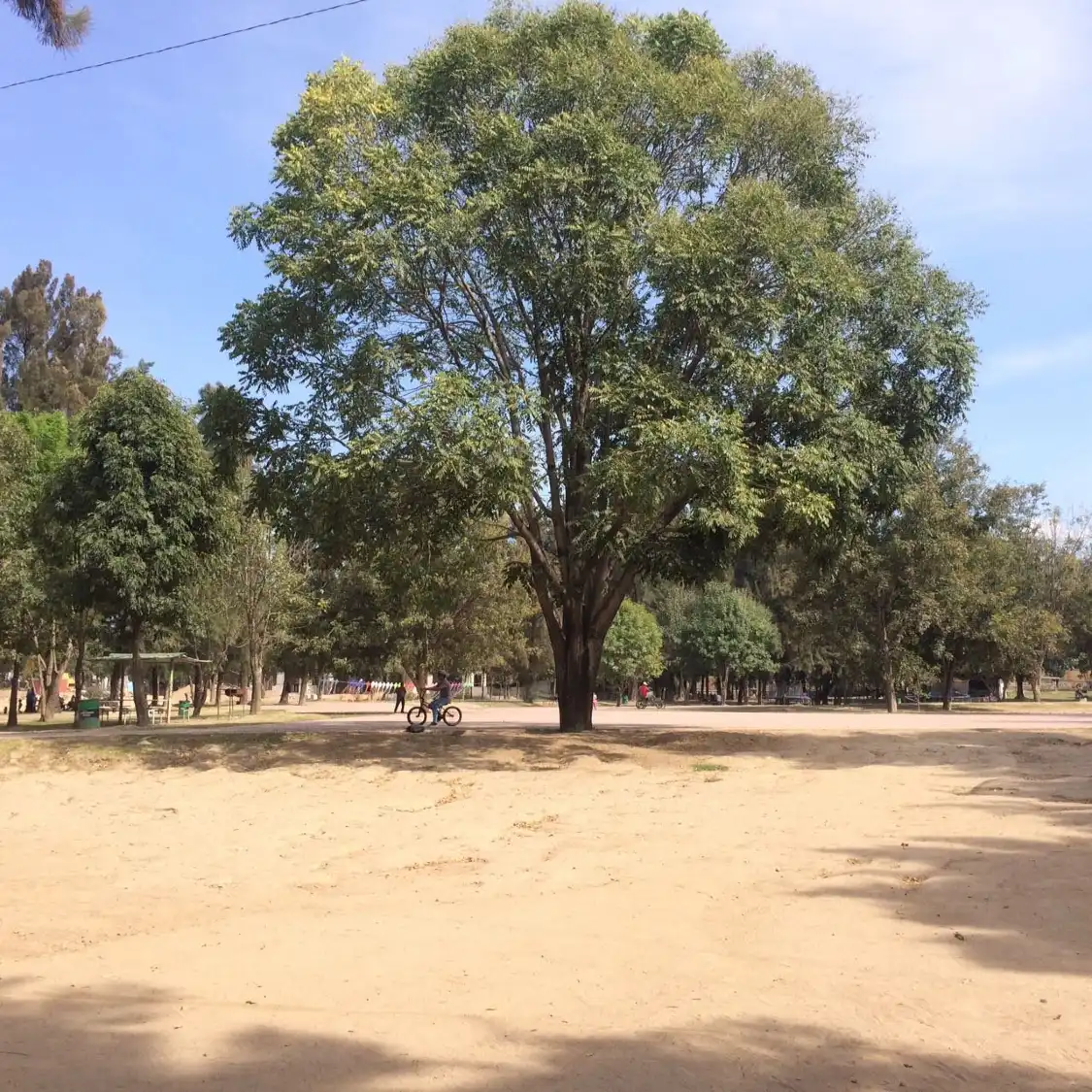 Hotels near Parque Roberto Montenegro