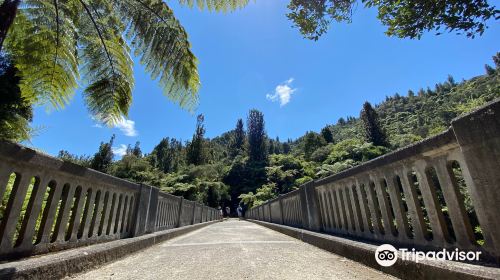 Whanganui National Park