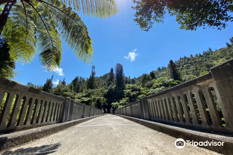 Whanganui National Park