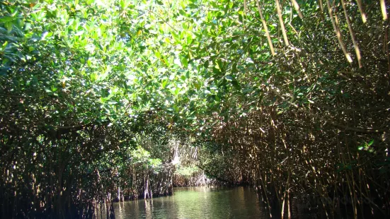 La Tovara Springs