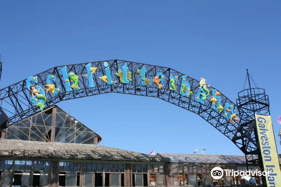 Schlitterbahn Waterpark Galveston