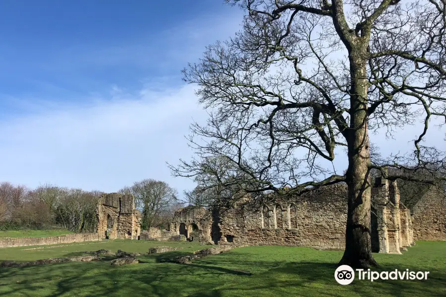 Basingwerk Abbey