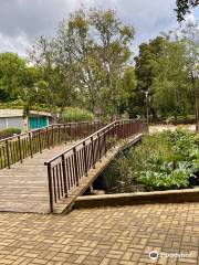 Plaza de Armas de Pucon