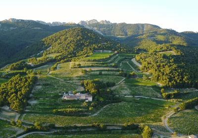 Domaine Paillère et Pied-Gû