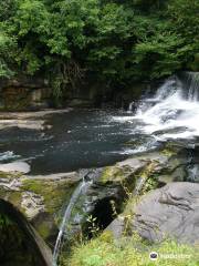 Aberdulais Tin Works & Waterfall